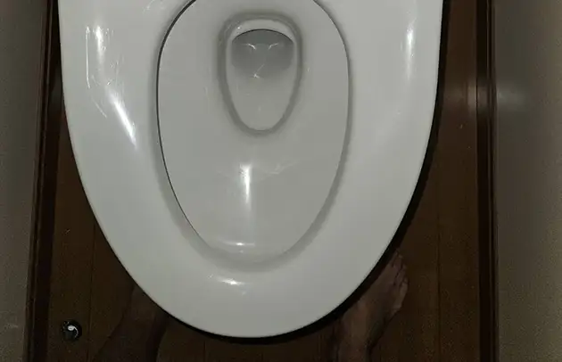 甲良町在士の水位が上がるトイレ詰まり施工事例写真