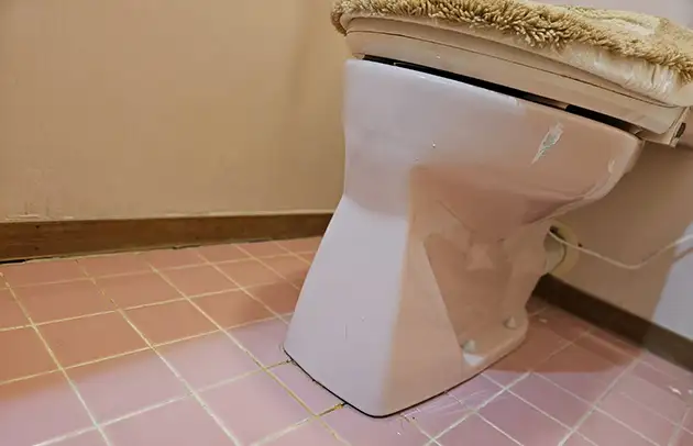 長浜市八幡東町の大量ペーパーで流れないトイレ詰まり施工事例写真