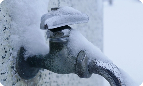 水道蛇口